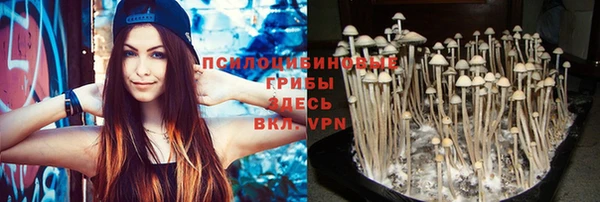 ALPHA-PVP Володарск